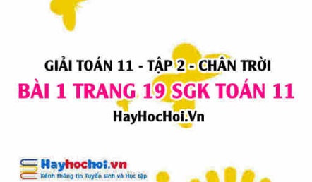 Bài 1 trang 19 Toán 11 tập 2 Chân trời sáng tạo